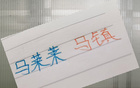 申花双马献技，精彩比赛继续。