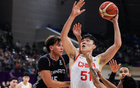 王治郅指出杨瀚森需解决核心问题，否则难在NBA立足