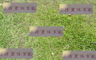 中超第12轮，年轻球员大放异彩，刘诚宇连进两球助申花。
